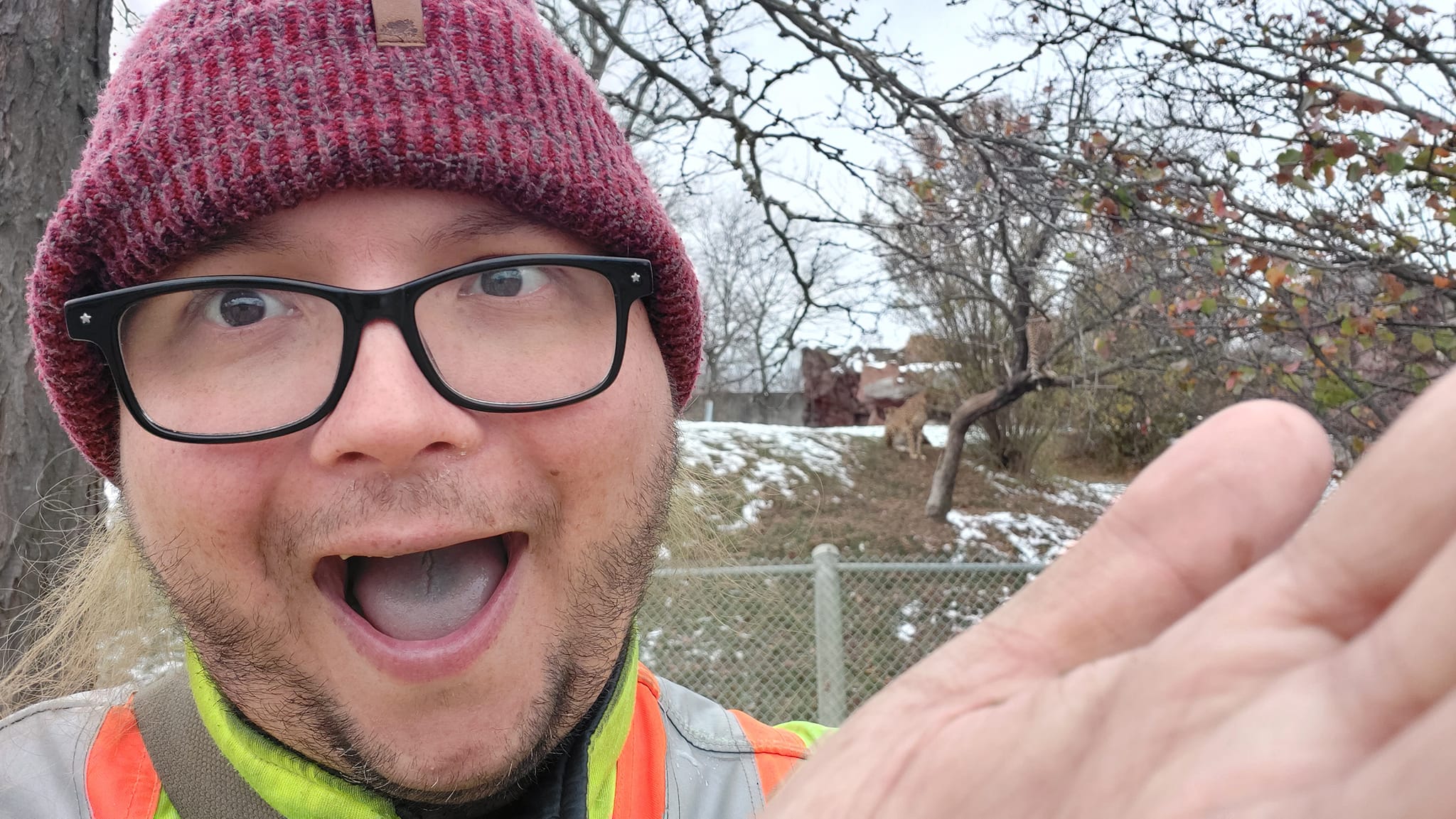 A man wearing a red toque and a high visibility winter coat indicates a blury cheatah in the background